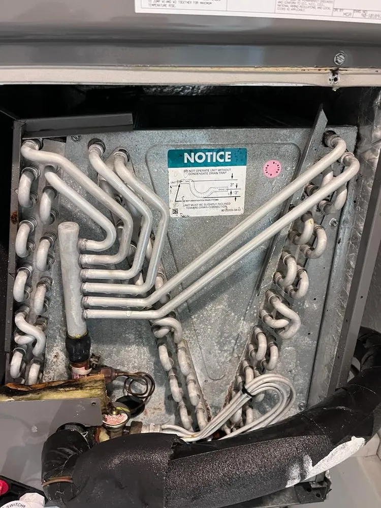 Slide of Handy Jorge