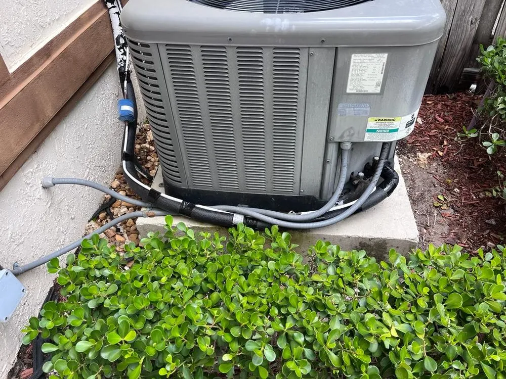 Slide of Handy Jorge