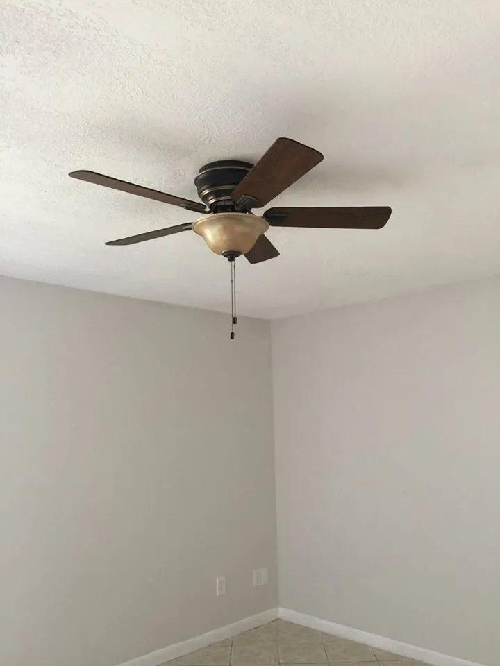 Slide of Handy Orlando