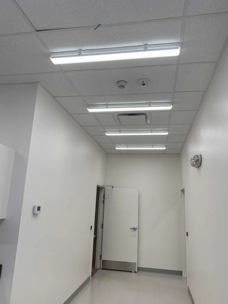 Slide of Handy Orlando