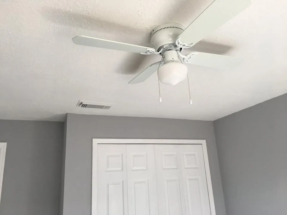 Slide of Handy Orlando