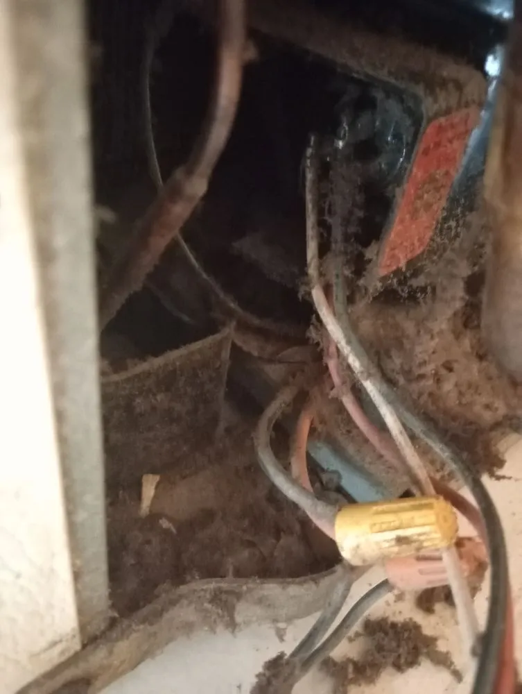 Slide of Handyman Mundo