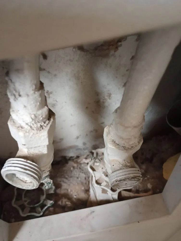 Slide of Handyman Mundo