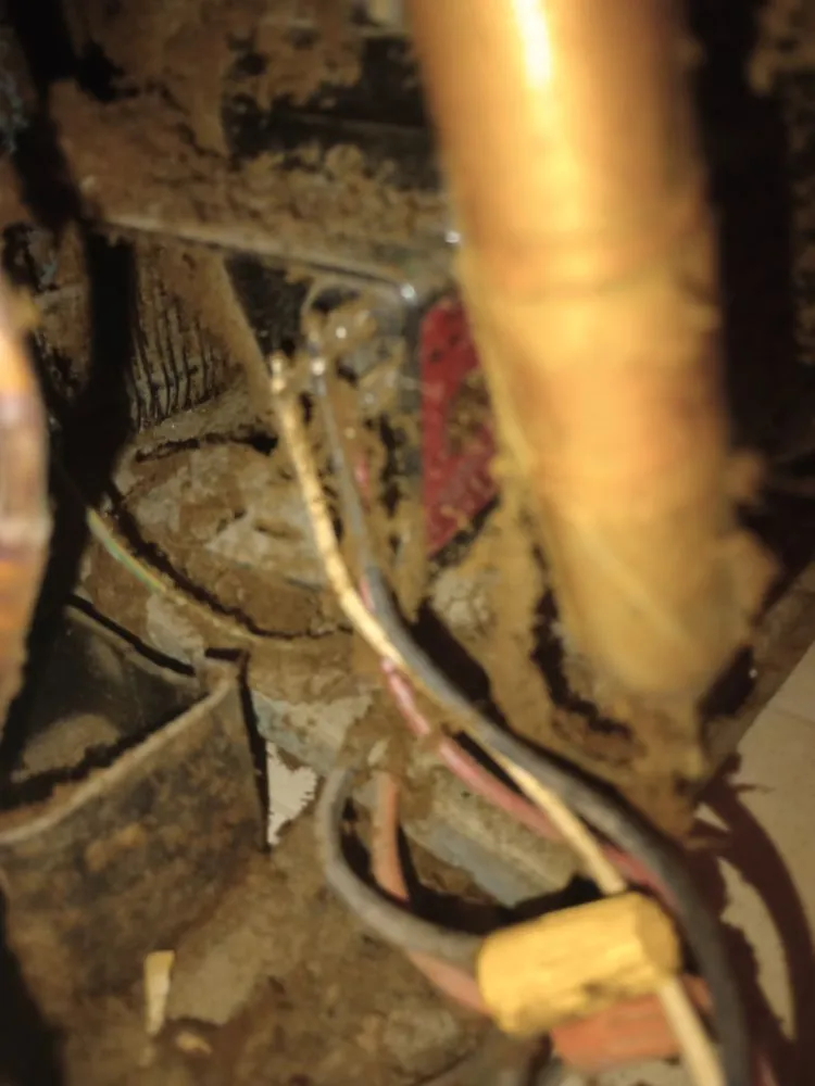 Slide of Handyman Mundo