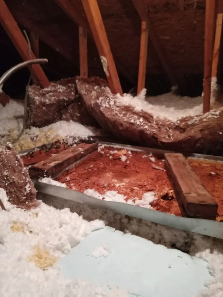 Slide of Handyman Plus