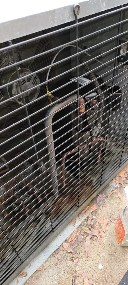 Slide of Hannon's Solutions