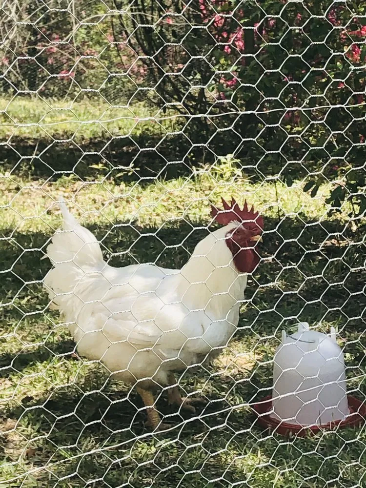 Slide of Hansen Super Techs