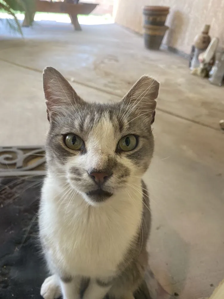 Slide of Hardaway Heating & Air Conditioning