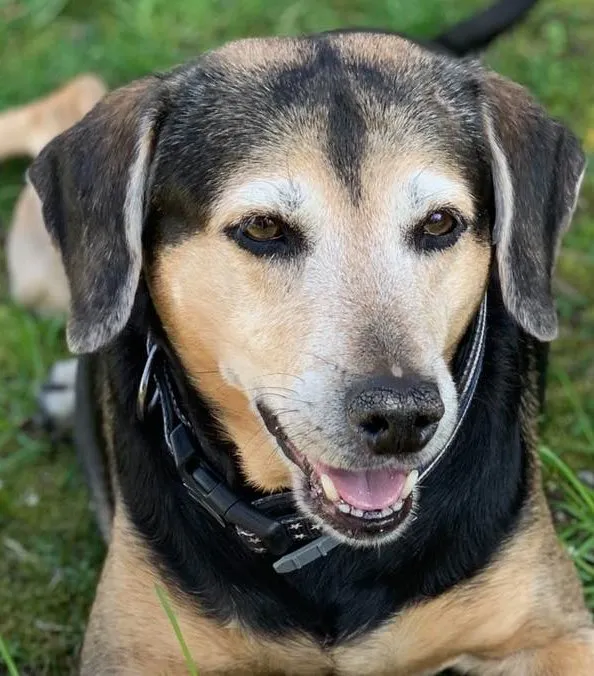 Slide of Harley Heating & Cooling