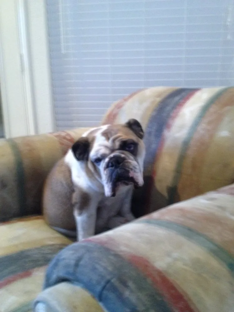 Slide of Harmony Air Conditioning & Heating