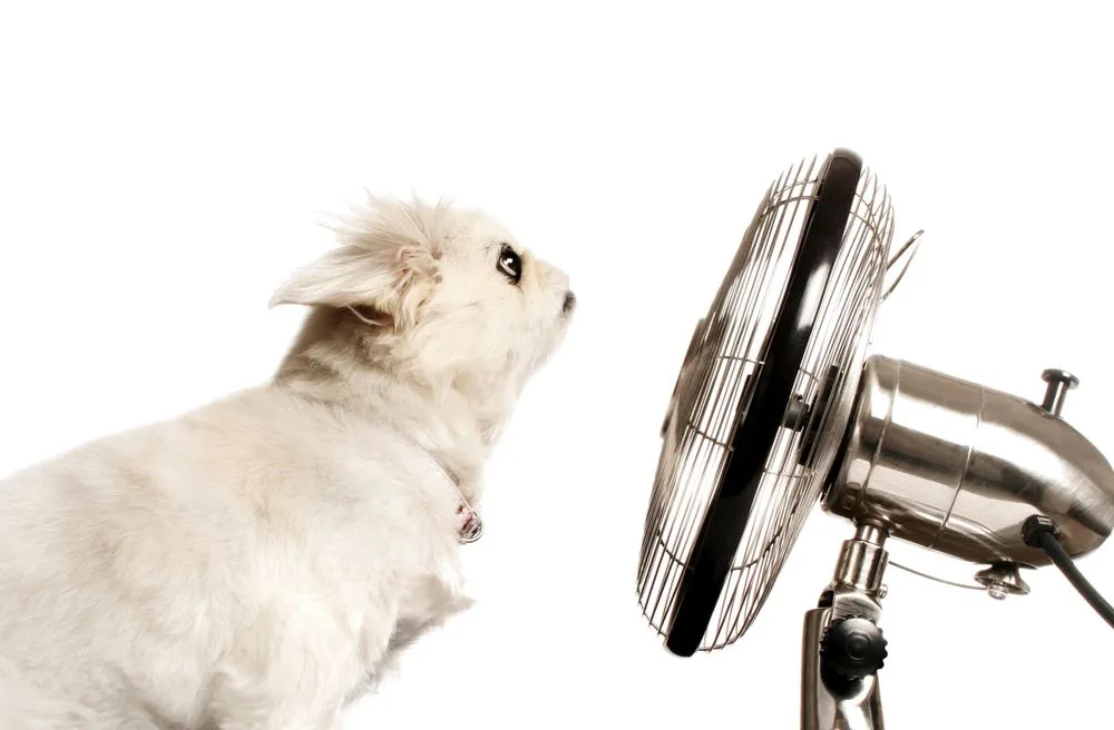 Slide of Harrington Oil