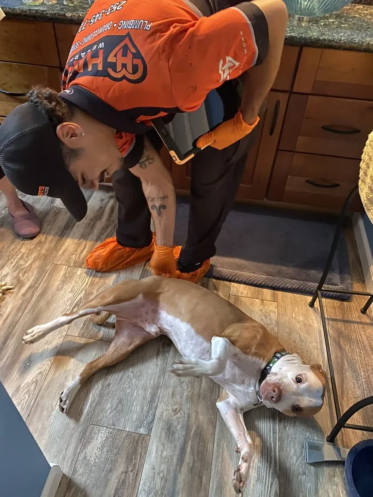 Slide of Harts Plumbers, Electricians, & HVAC Technicians