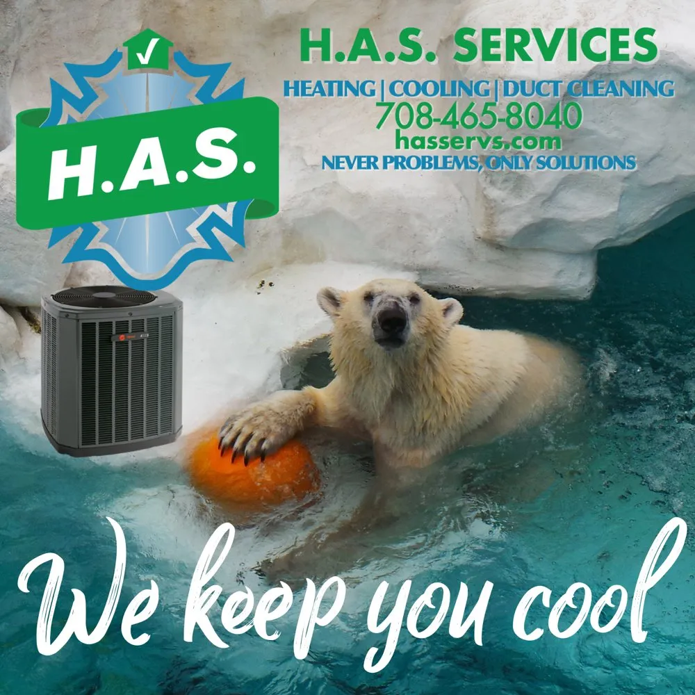 Slide of HAS Services