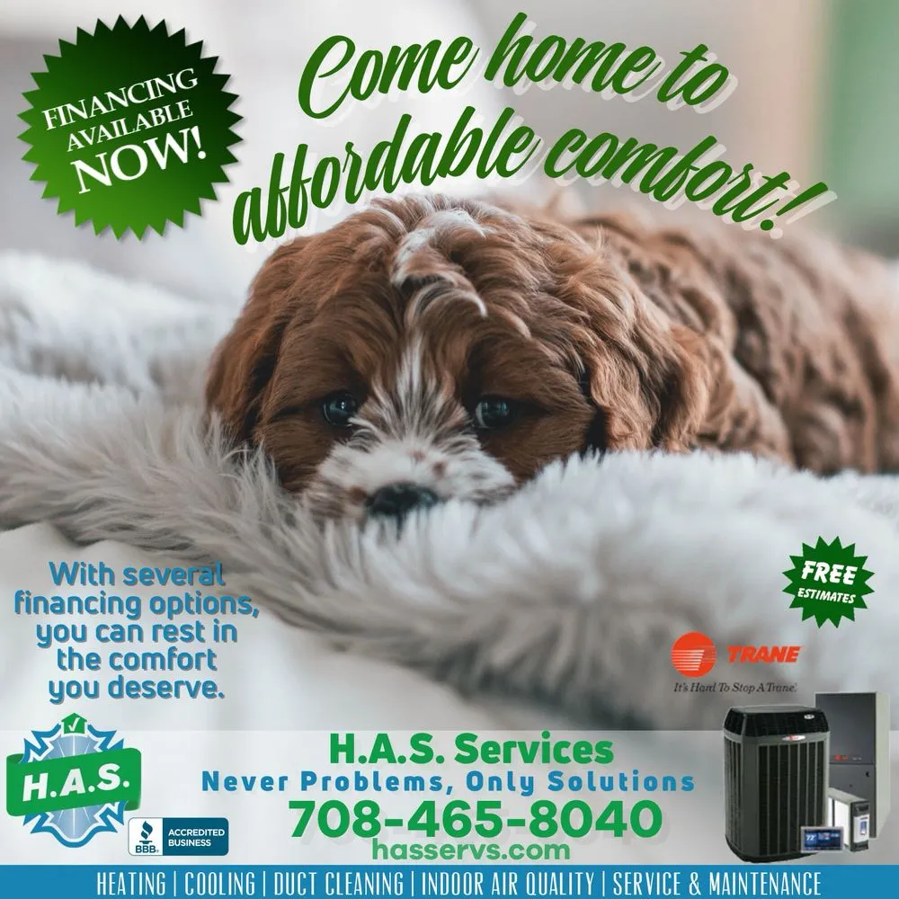 Slide of HAS Services