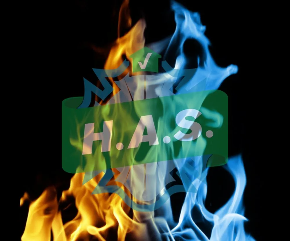 Slide of HAS Services