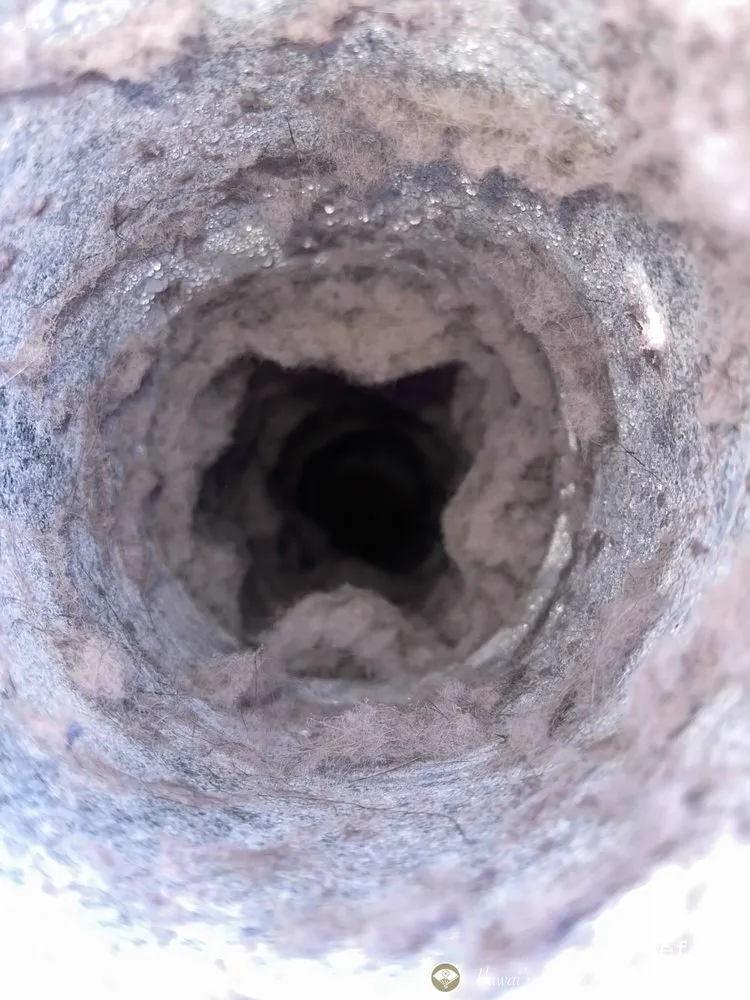 Reliable HVAC installation in Mililani, HI by Hawaii Indoor Air Specialists