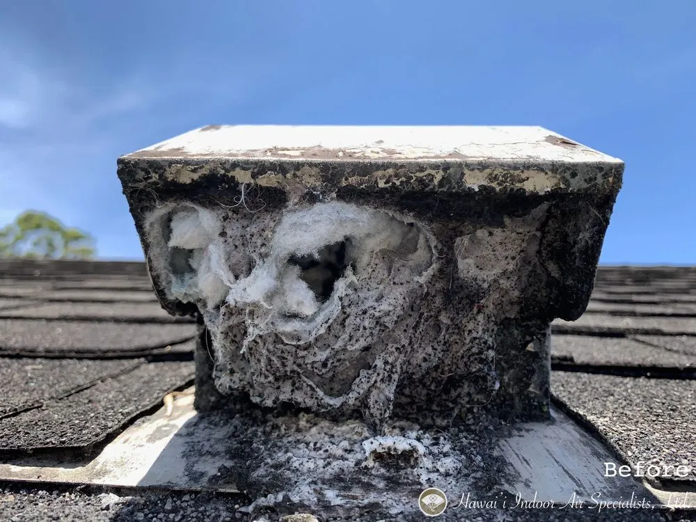 Professional heating repair in Mililani, HI - Hawaii Indoor Air Specialists