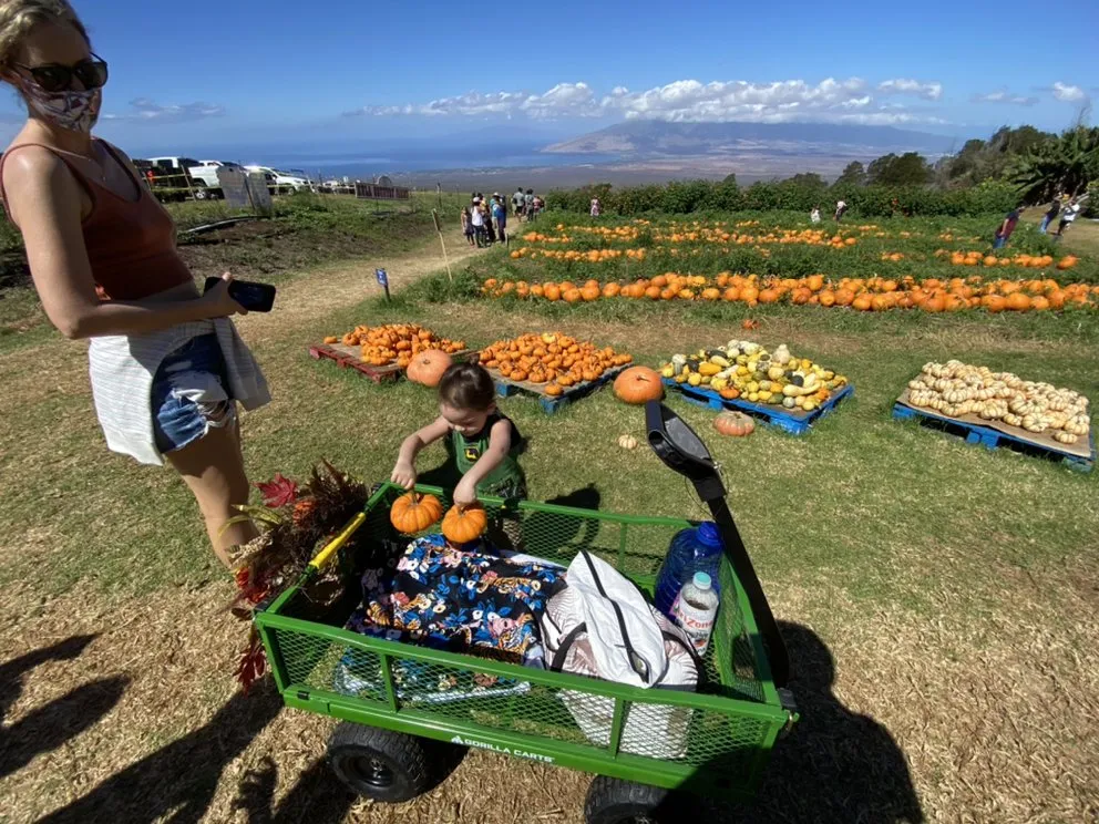 Slide of Hawaiian Property Restoration