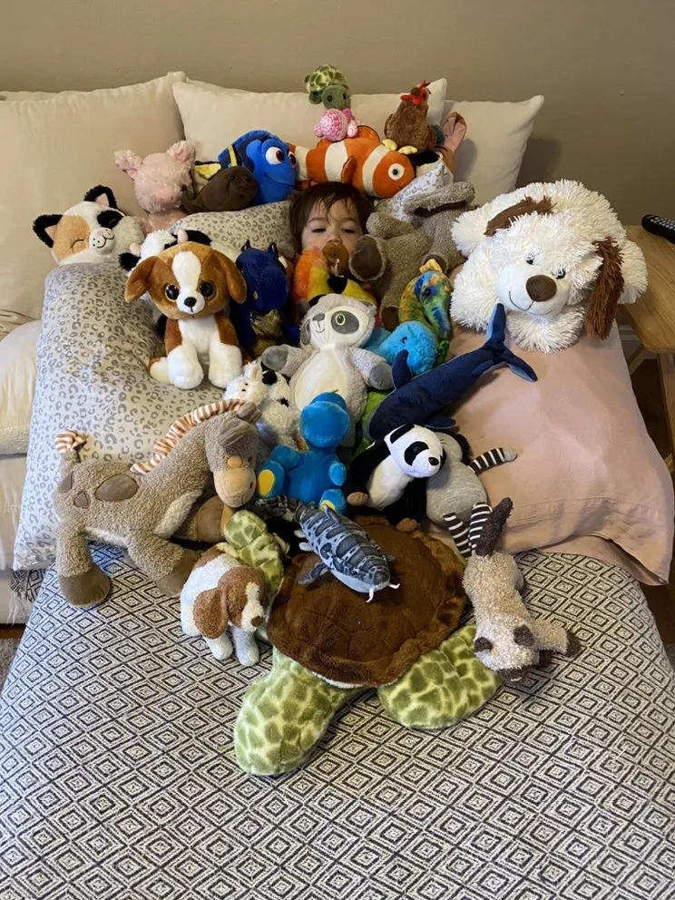 Slide of Hawaiian Property Restoration