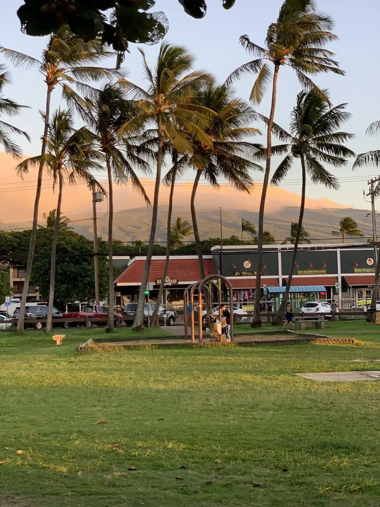 Slide of Hawaiian Property Restoration