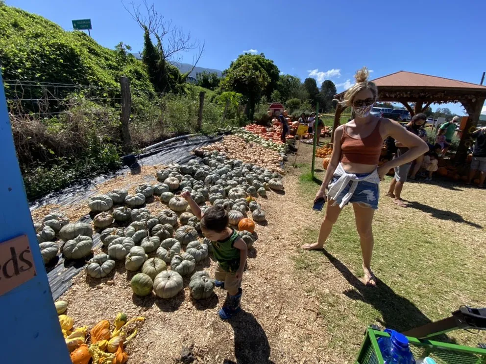 Slide of Hawaiian Property Restoration