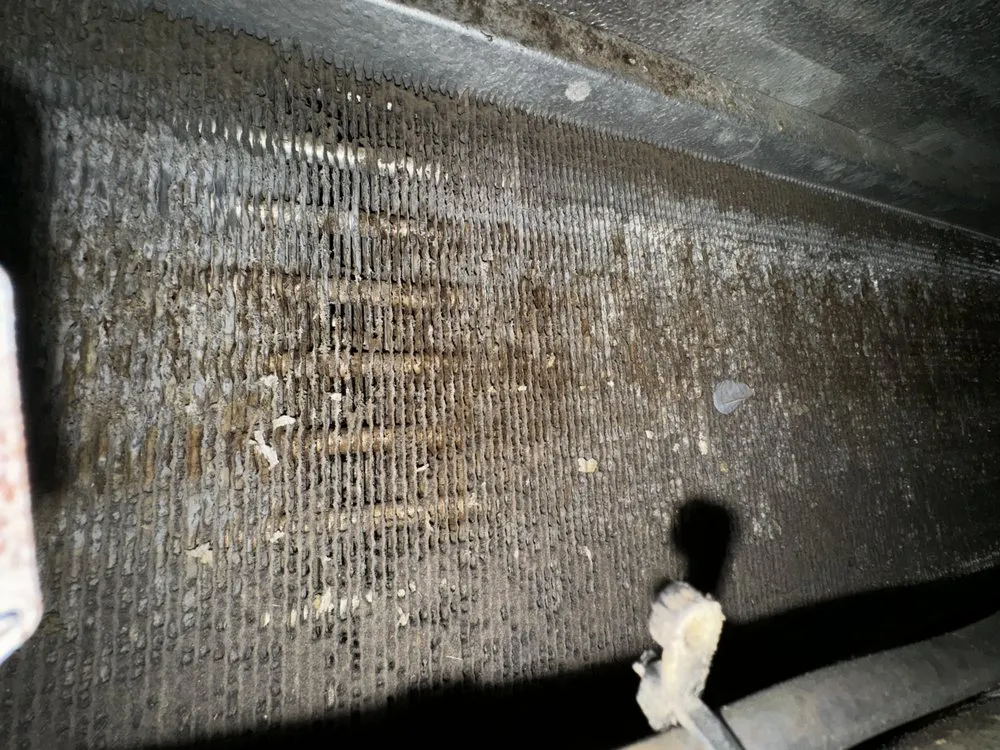 Slide of Hawkeyes Services