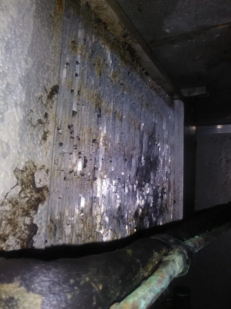 Slide of Hawkeyes Services