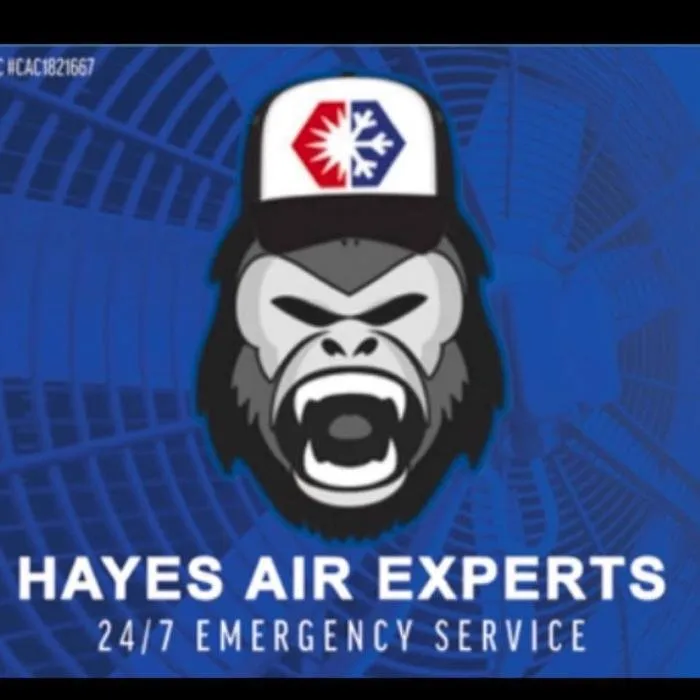 Slide of Hayes Air Experts
