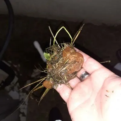 He Saves Air Conditioning Logo