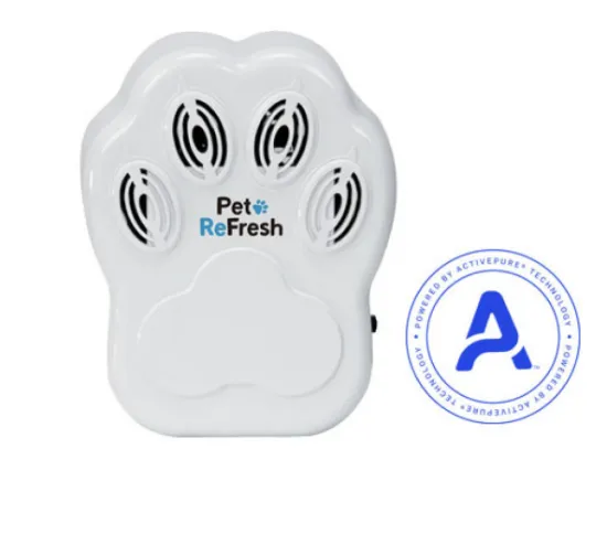 Slide of Healthy Air Now