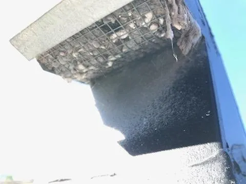 Healthy Home Dryer Vent Specialists Logo