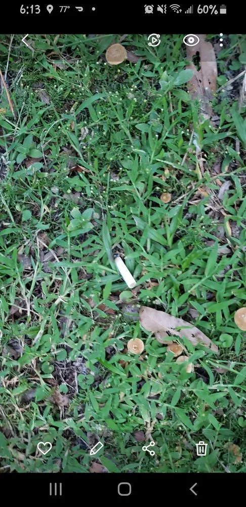 Slide of Heatwave Heating & Cooling