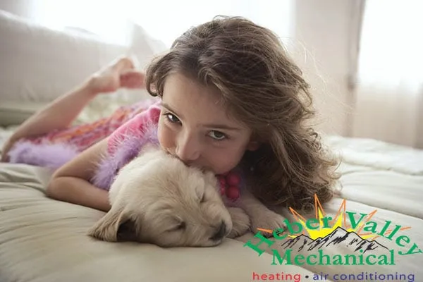 Slide of Heber Valley Mechanical