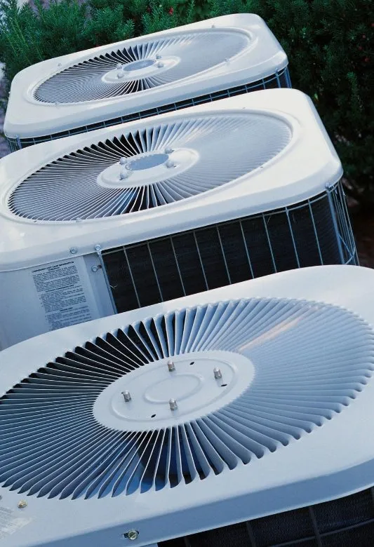 Slide of Heirloom Mechanical