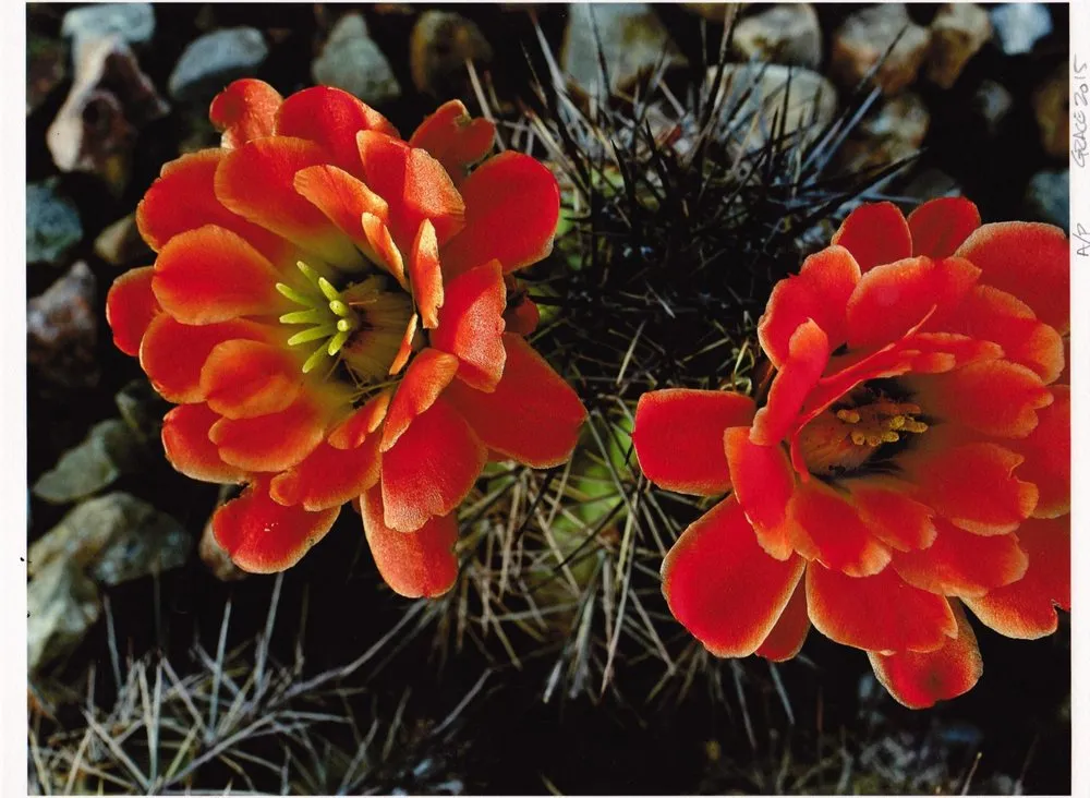 Slide of HENDEL’S AIR CONDITIONING