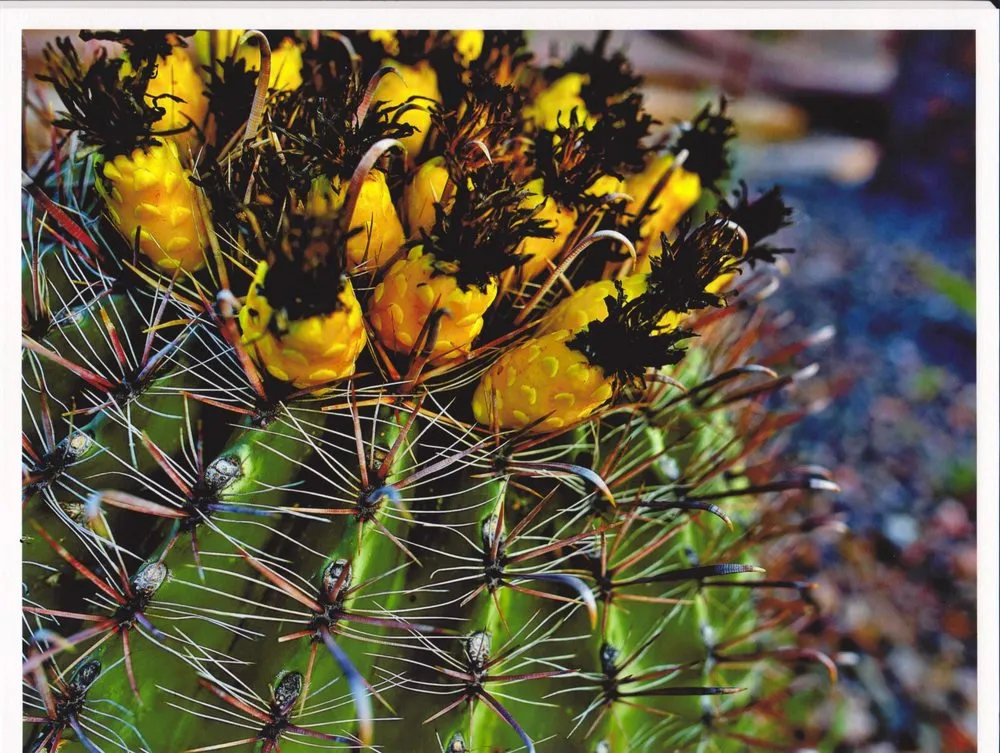 Slide of HENDEL’S AIR CONDITIONING