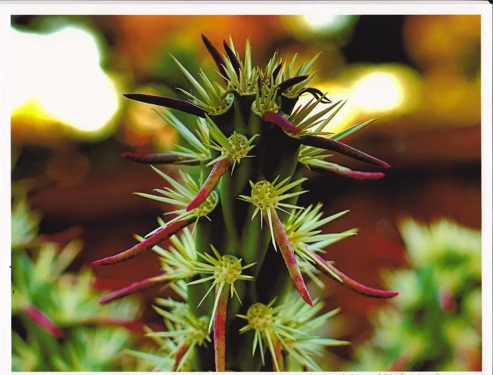 Slide of HENDEL’S AIR CONDITIONING