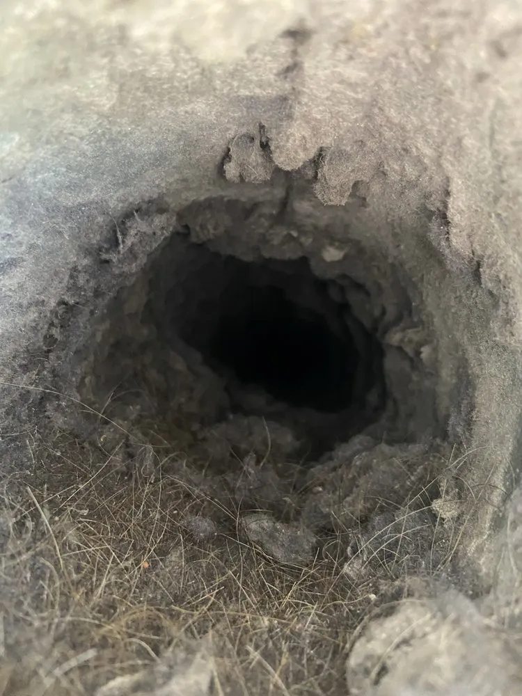 Slide of Hepaclean Duct Cleaning Service