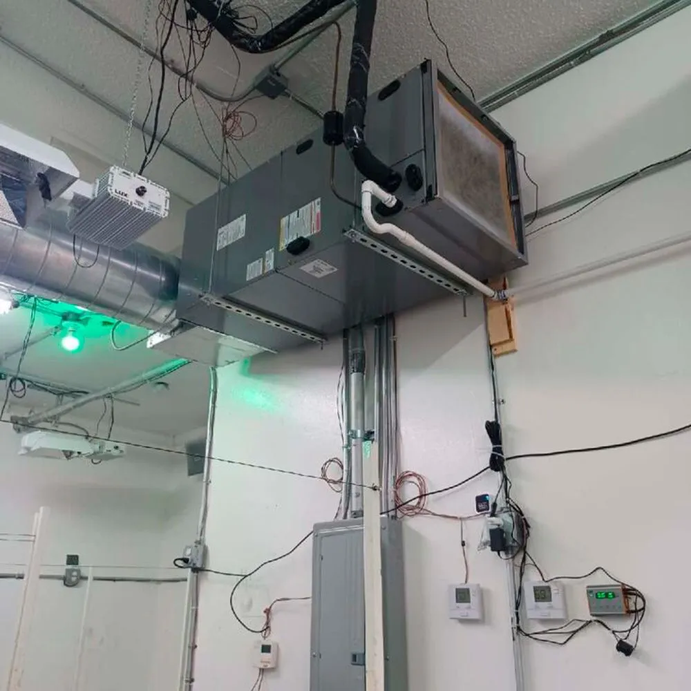 Slide of Herreria Walter