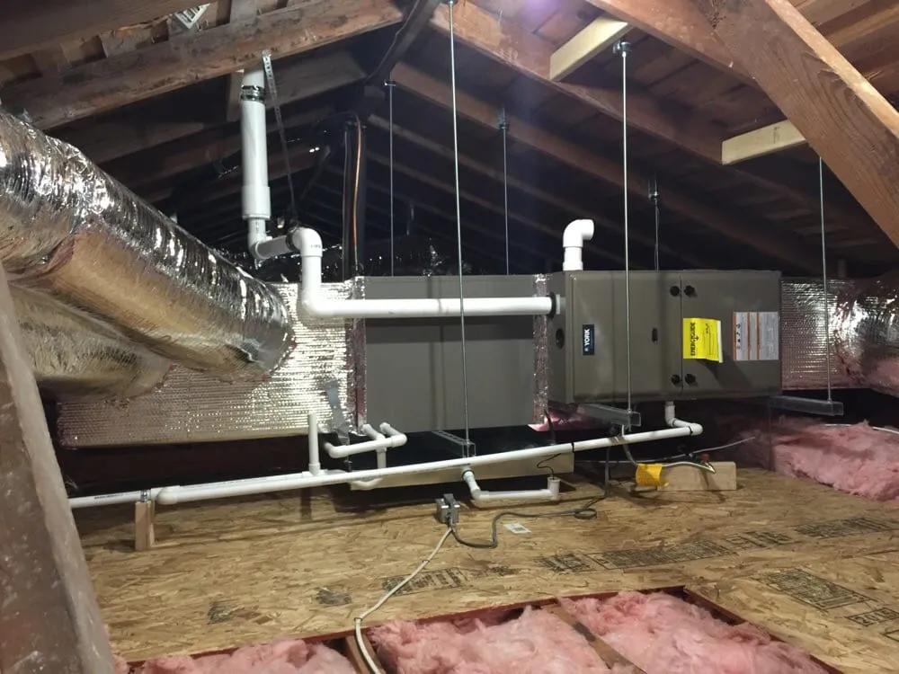 Slide of Hers Raters