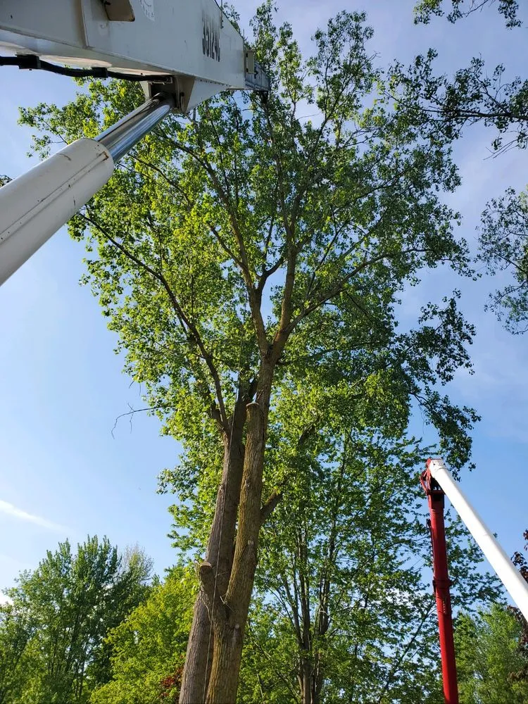 Slide of Hetzel hoisting