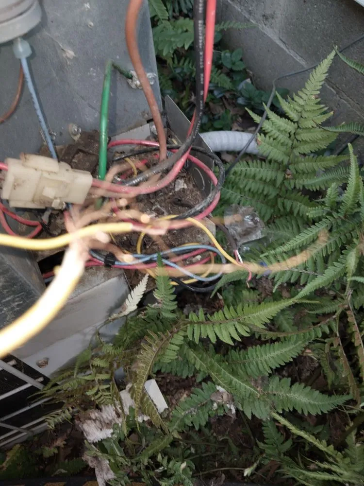 Slide of HHC Handyman