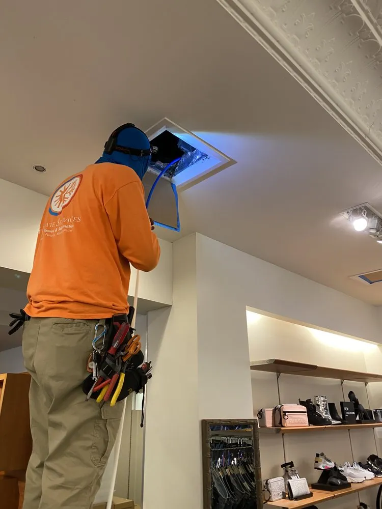 Slide of HI State Services