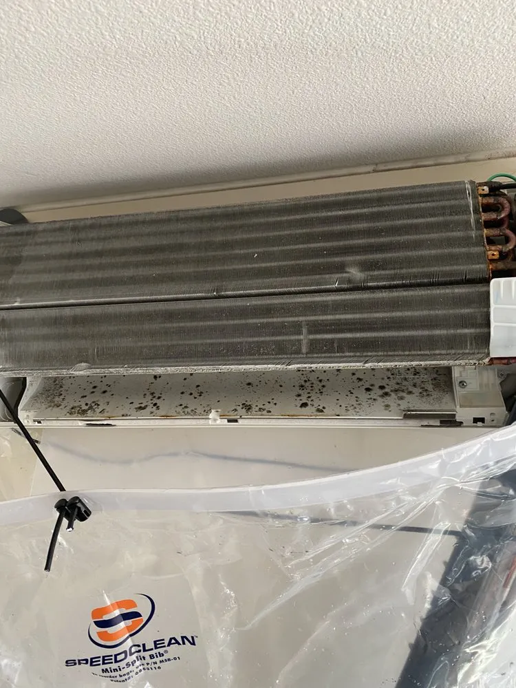 Slide of HI State Services