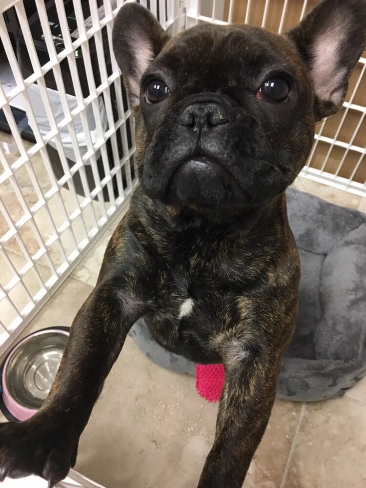 Slide of HI-VAC Air Conditioning Service