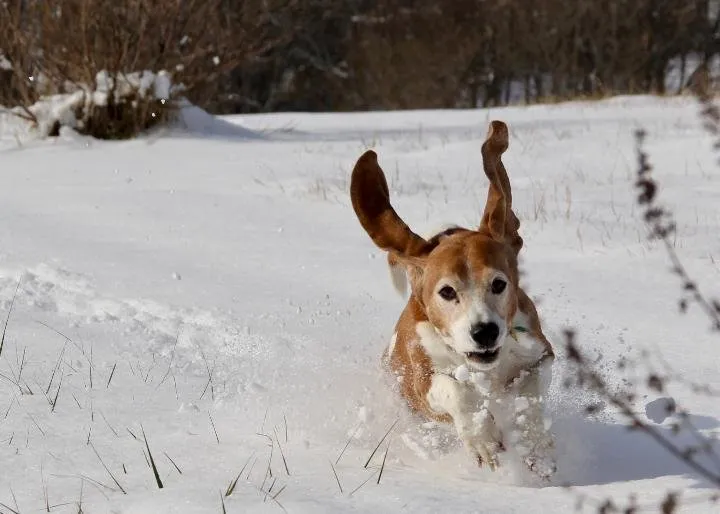 Slide of Hickey Plumbing, Air & Electrical