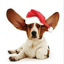 Slide of Hickey Plumbing, Air & Electrical