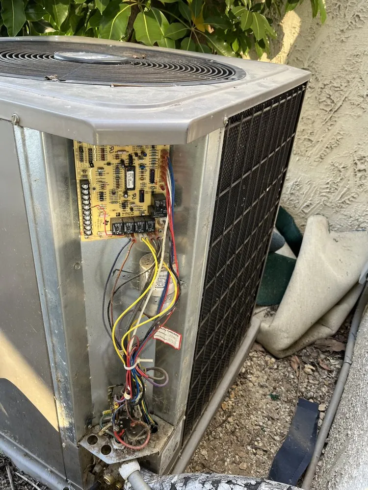 Slide of High Quality HCE