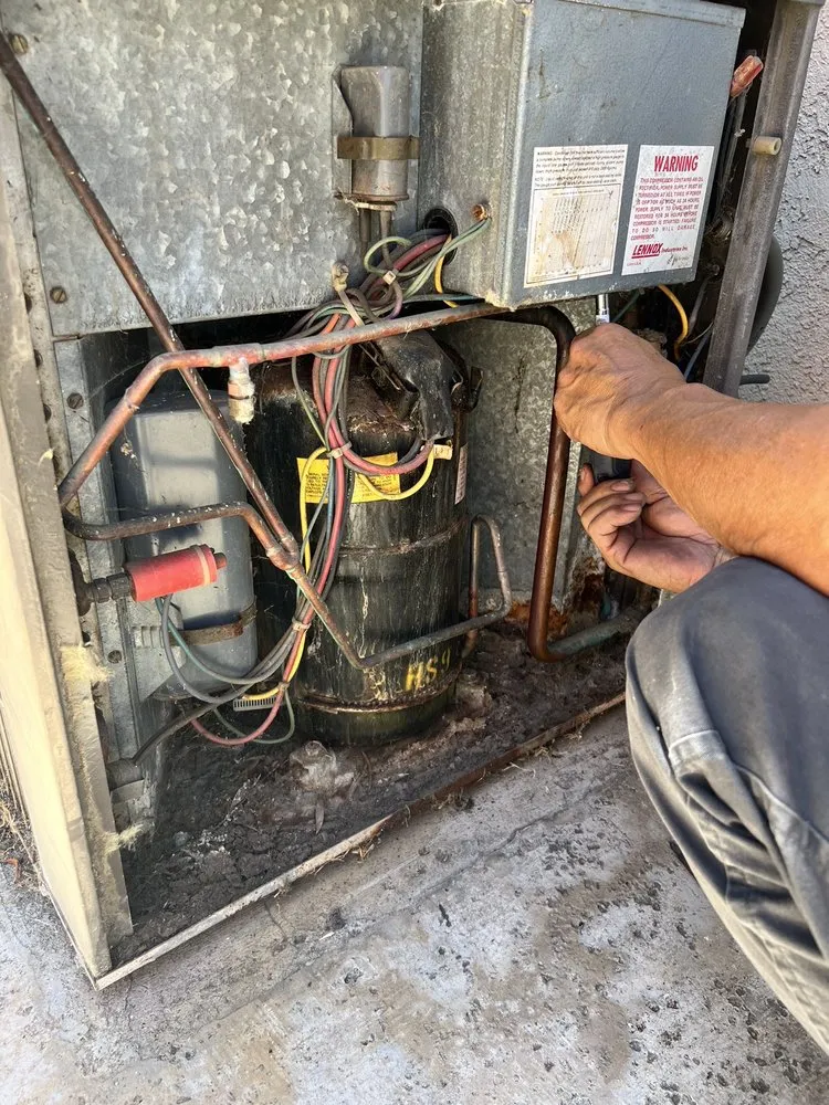 Slide of High Quality HCE