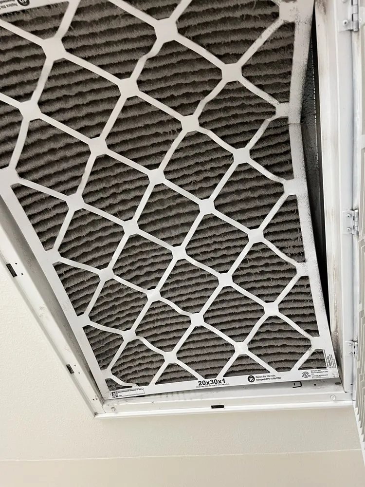 Slide of High Quality HCE